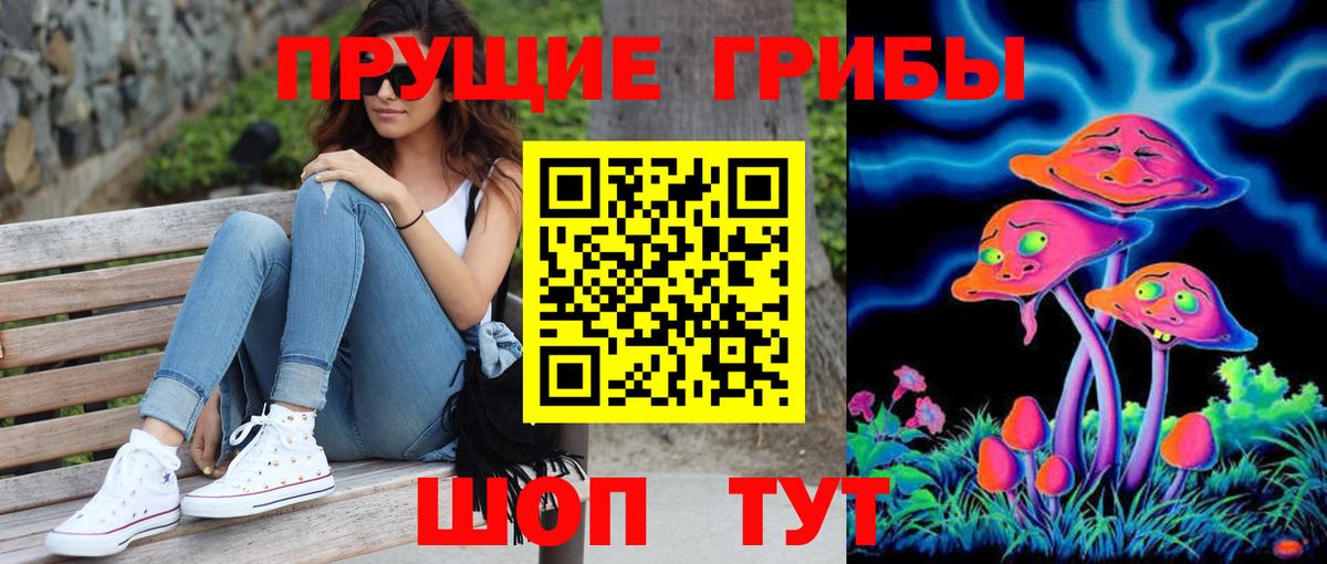 Псилоцибиновые грибы Psilocybine cubensis Камышин