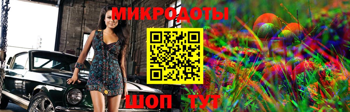 Псилоцибиновые грибы мицелий  Галлюциногенные грибы Magic Shrooms  Вход с VPN  цена   Камышин 