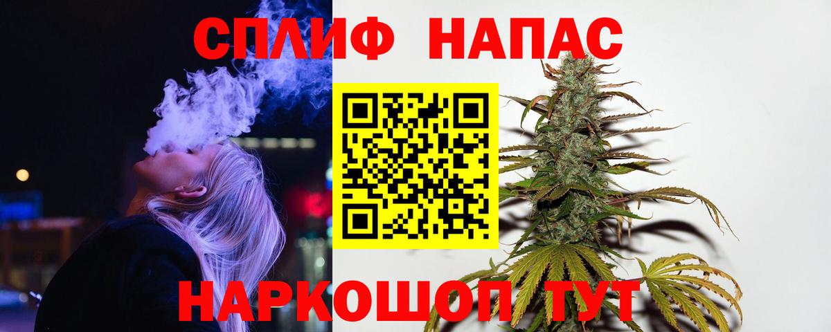 Конопля план Камышин
